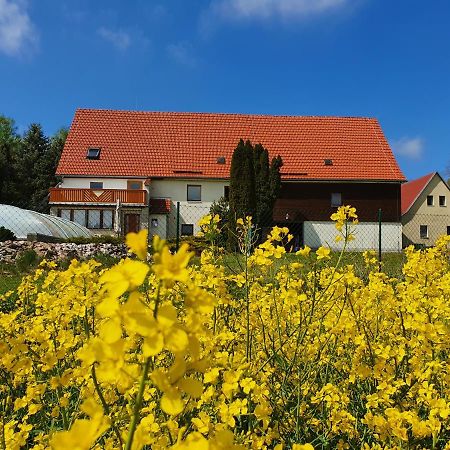 Vila Alte Schaeferei Bad Gottleuba Exteriér fotografie