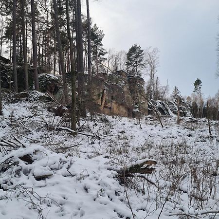 Vila Alte Schaeferei Bad Gottleuba Exteriér fotografie