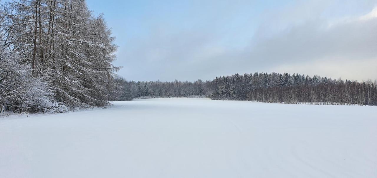 Vila Alte Schaeferei Bad Gottleuba Exteriér fotografie
