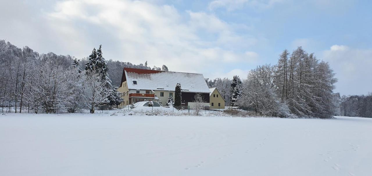 Vila Alte Schaeferei Bad Gottleuba Exteriér fotografie