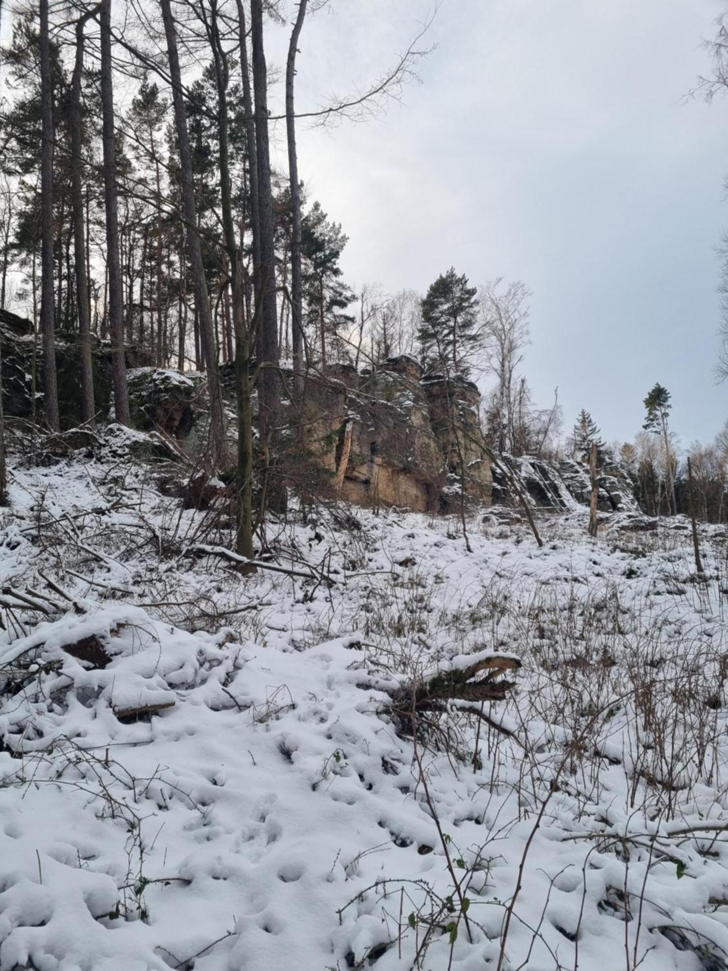 Vila Alte Schaeferei Bad Gottleuba Exteriér fotografie